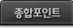 종합포인트