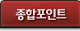 종합포인트