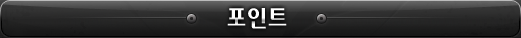포인트